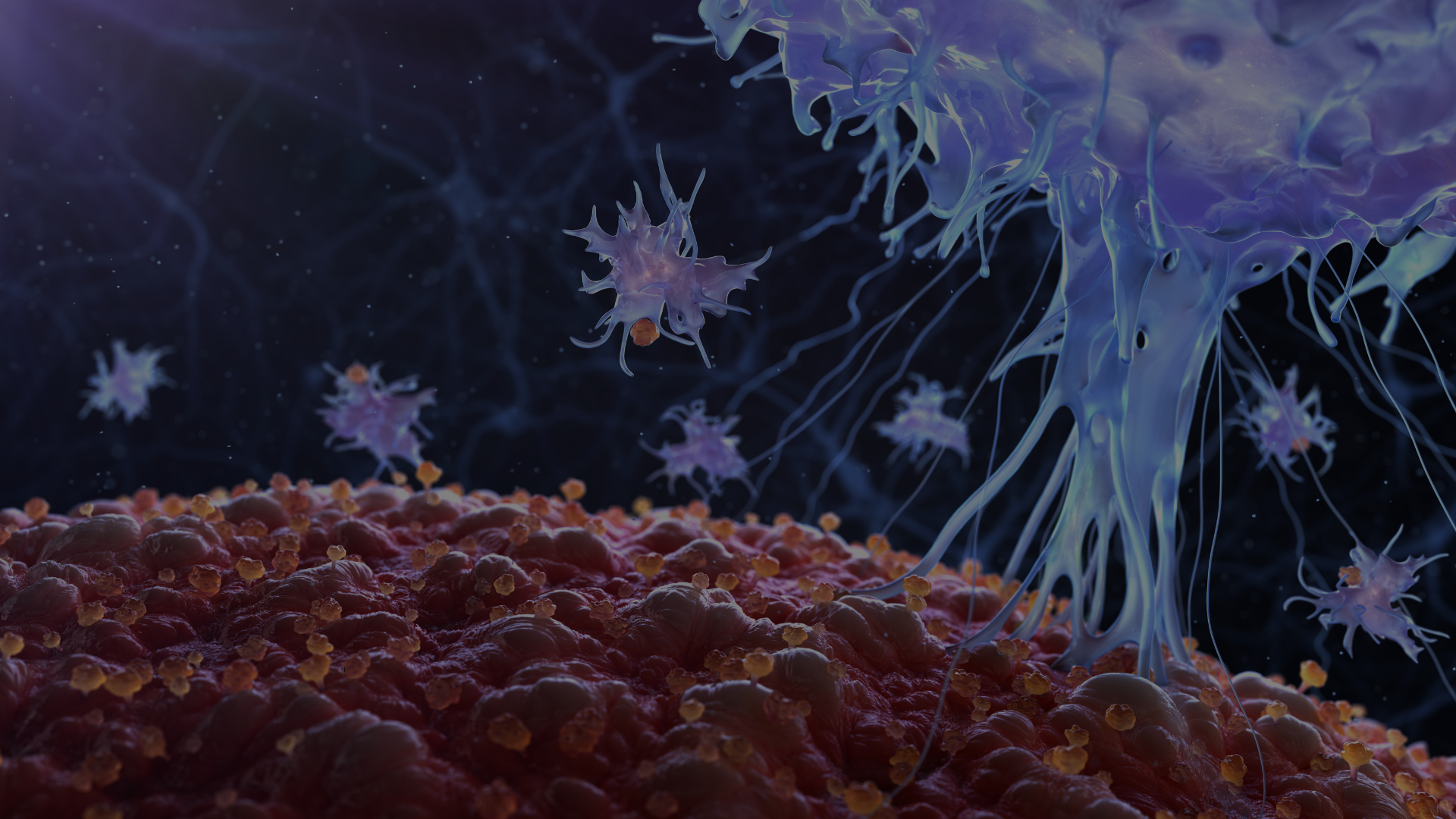 Replay On-Demand: Immune Reboot with Rob Silverman, DC DACBN, DCBCN, MS